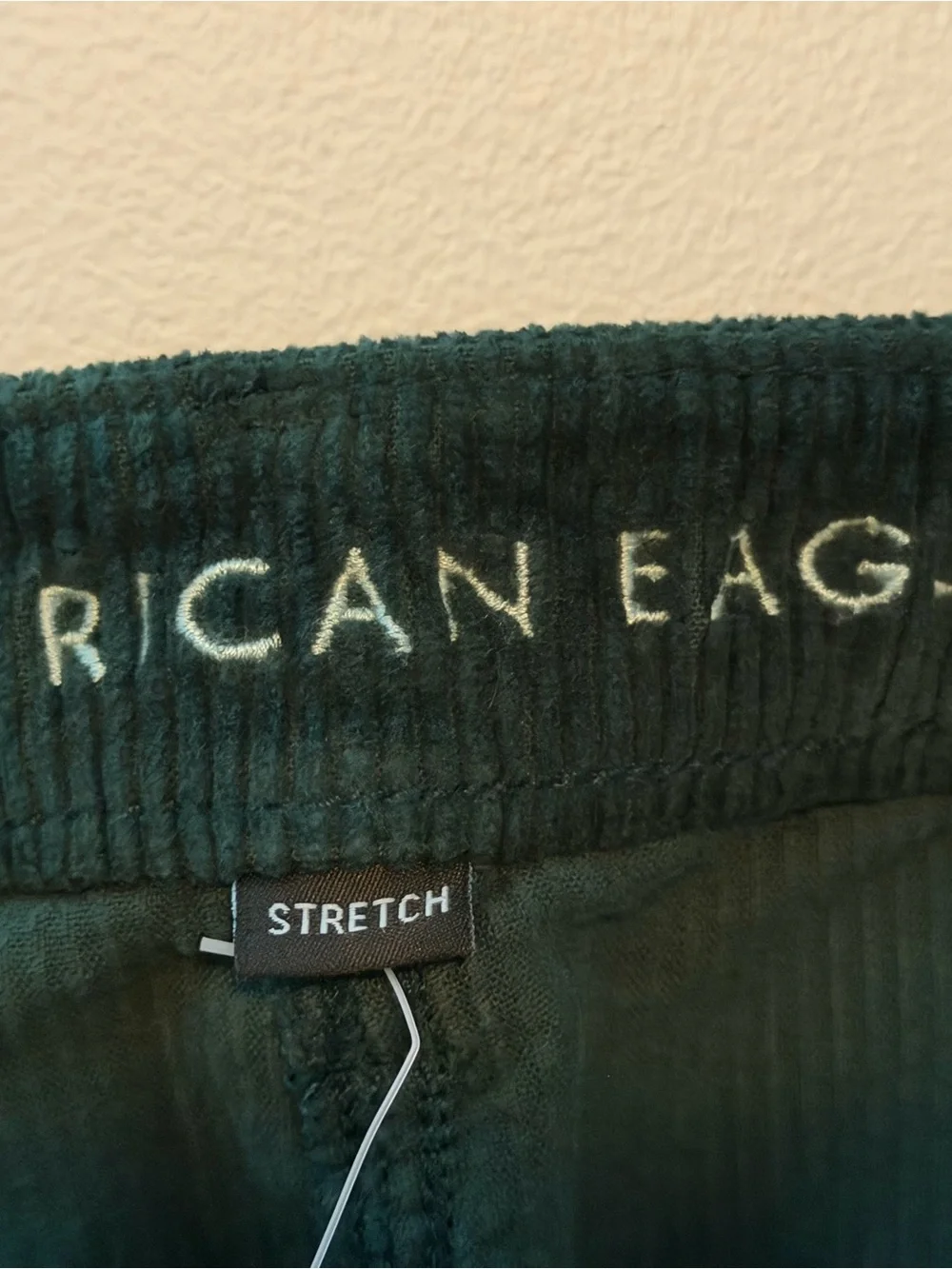 NWT American Eagle Outfitters Dark Green Corduroy Button-Front Mini Skirt